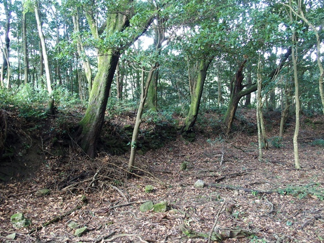 主郭土塁石積み