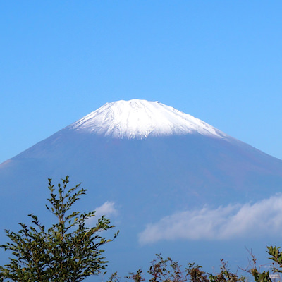 足柄城から見る富士山 | 足柄城