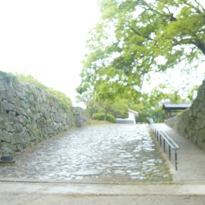 裏御門跡 | 福岡城