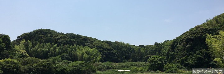 桜井城