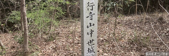 知行寺山城