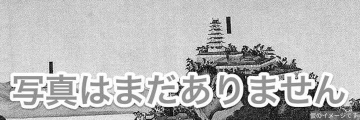 赤渋城