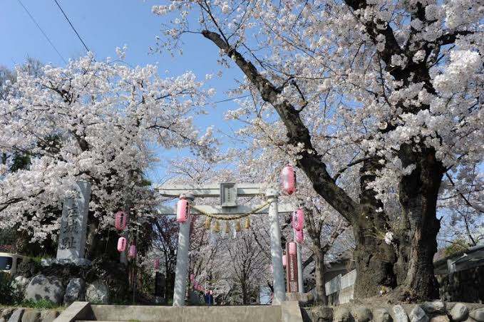 城山稲荷神社